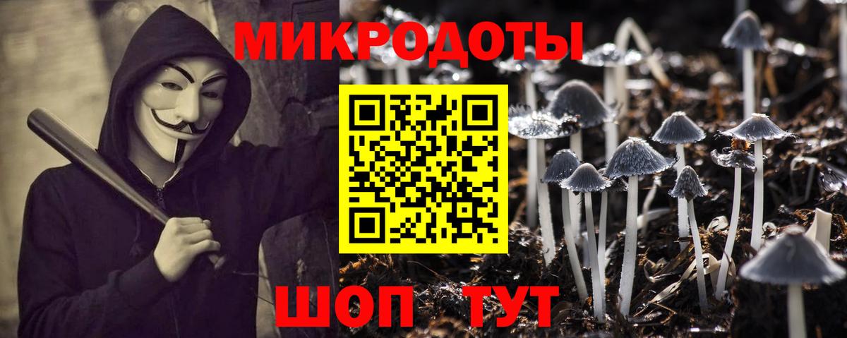 Ртищево  Псилоцибиновые грибы Psilocybine cubensis  Вход с VPN 
